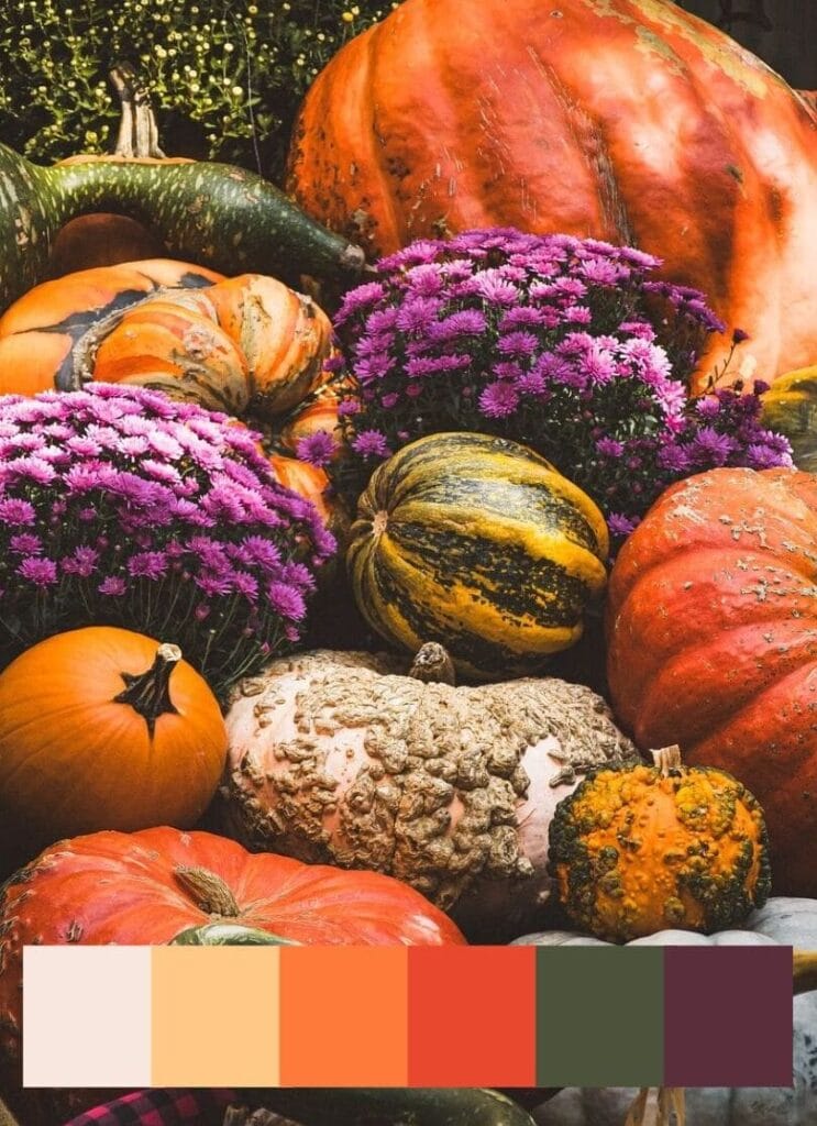 Fall colors